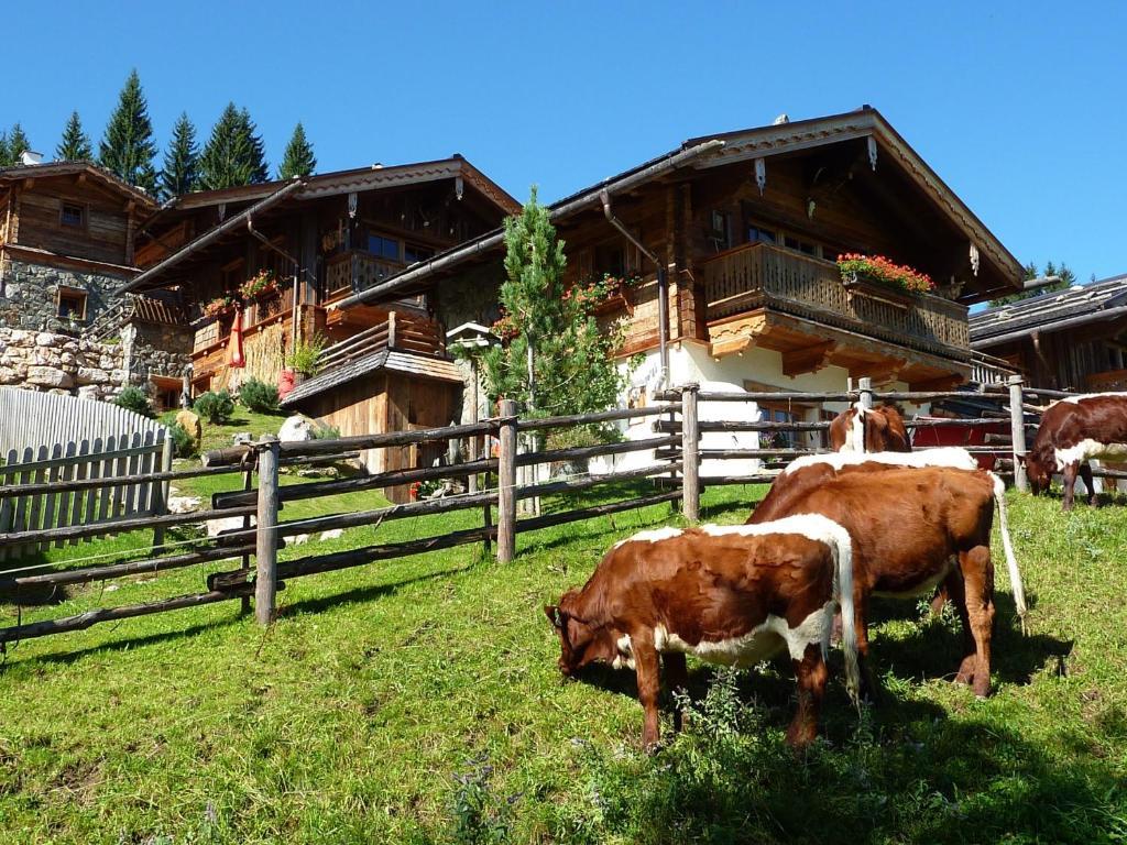 Almdorf Flachau - Luxus Huettenurlaub 객실 사진